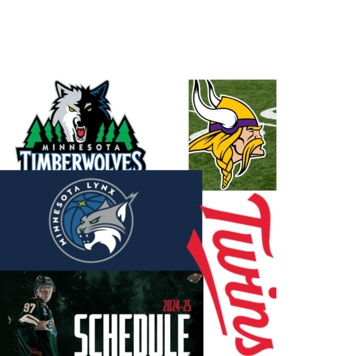 Your Minnesota Sports Team
