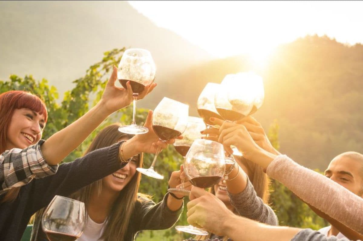 Wine tour celebration